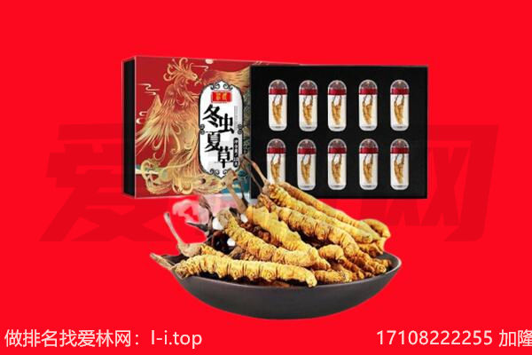 铜梁区回收虫草.jpg